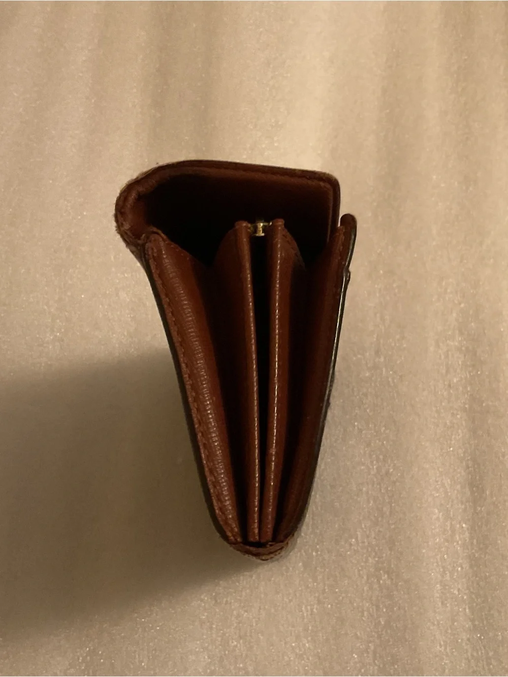 Louis Vuitton authentic louis